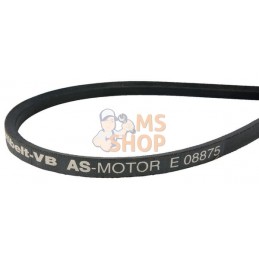 Courroie | AS-MOTOR Courroie | AS-MOTORPR#159371