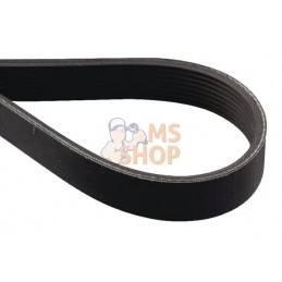 Courroie Poly 8PJ 914Lp | AS-MOTOR Courroie Poly 8PJ 914Lp | AS-MOTORPR#159932