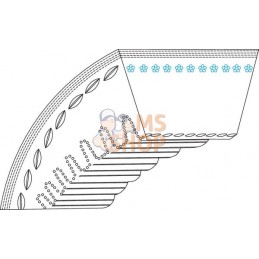 Courroie trapeziodale | AS-MOTOR Courroie trapeziodale | AS-MOTORPR#159962