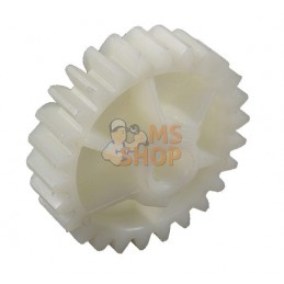 Cone | AS-MOTOR Cone | AS-MOTORPR#159506