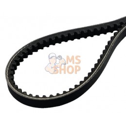Jeu de 2 courroies trap. 9,7x850 | AS-MOTOR Jeu de 2 courroies trap. 9,7x850 | AS-MOTORPR#159462
