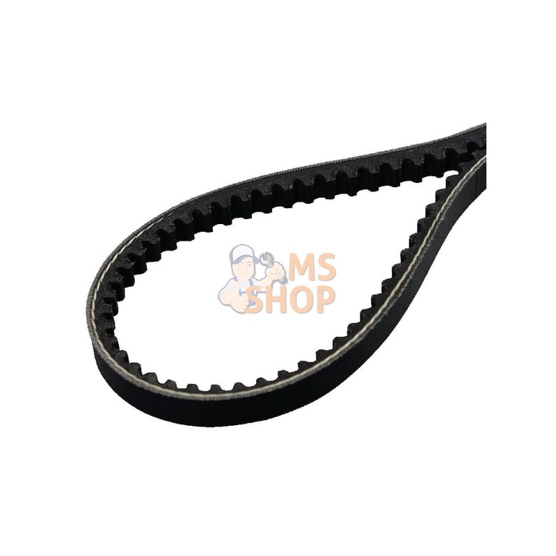 Jeu de 2 courroies trap. 9,7x850 | AS-MOTOR Jeu de 2 courroies trap. 9,7x850 | AS-MOTORPR#159462
