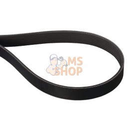 Courroie Poly 8PJ 1285Lp | AS-MOTOR Courroie Poly 8PJ 1285Lp | AS-MOTORPR#159579