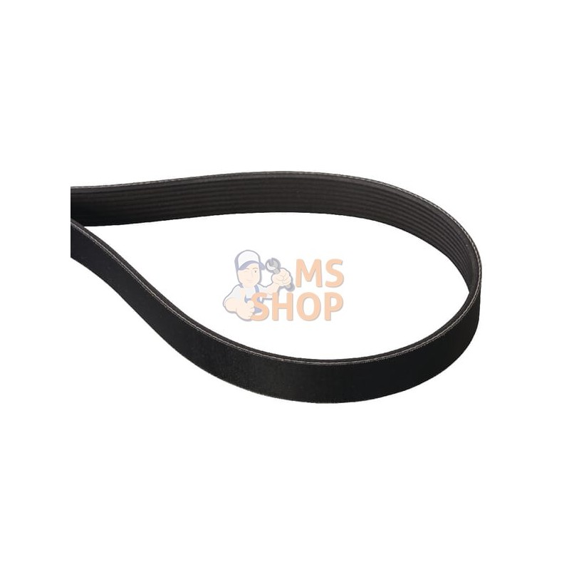 Courroie Poly 8PJ 1285Lp | AS-MOTOR Courroie Poly 8PJ 1285Lp | AS-MOTORPR#159579 Courroie Poly 8PJ 1285Lp | AS-MOTOR Courroie Poly 8PJ 1285Lp | AS-MOTORPR#159579