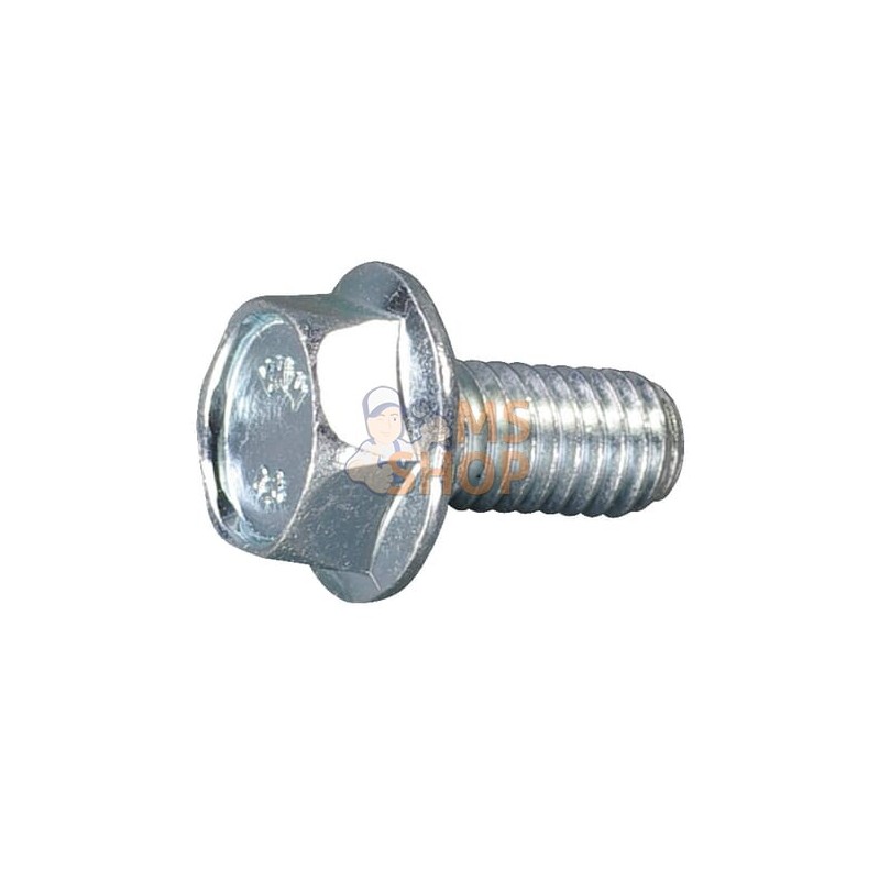 Vis de blocage m 6 x 10 | AS-MOTOR Vis de blocage m 6 x 10 | AS-MOTORPR#159488