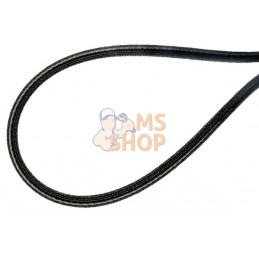 Courroie 10x672Lp | AS-MOTOR Courroie 10x672Lp | AS-MOTORPR#159837