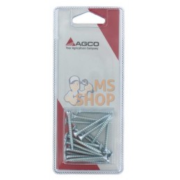 Vis p.pann.agglom. 4x40 (20x) | AGCO BLISTER Vis p.pann.agglom. 4x40 (20x) | AGCO BLISTERPR#1113128
