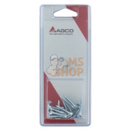 Vis p.pann.agglom. 4x25 (20x) | AGCO BLISTER Vis p.pann.agglom. 4x25 (20x) | AGCO BLISTERPR#1113134