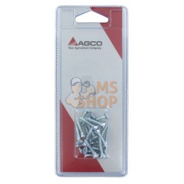 Vis p.pann.agglom. 4x20 (20x) | AGCO BLISTER Vis p.pann.agglom. 4x20 (20x) | AGCO BLISTERPR#1113209