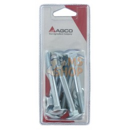 Boulon de commerce M10x80 (6x) | AGCO BLISTER Boulon de commerce M10x80 (6x) | AGCO BLISTERPR#1073169