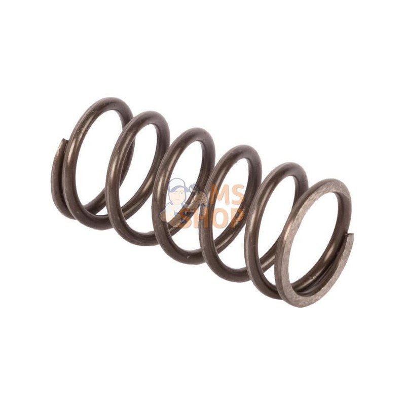 Ressort | AGCO Ressort | AGCOPR#1113296