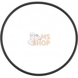 O Ring | AGCO O Ring | AGCOPR#1113381