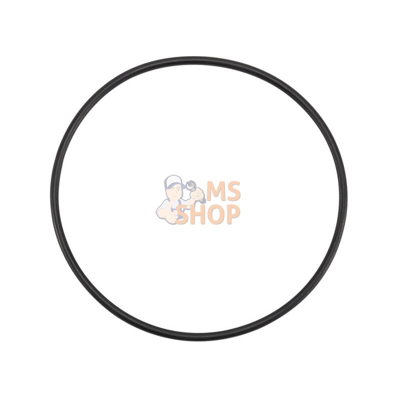 O Ring | AGCO O Ring | AGCOPR#1113381