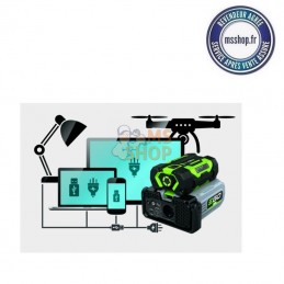 CONVERTISSEUR EGO POWER 400W PAD5000E | EGO POWER