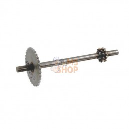 RL190097.300 ARBRE INTER...