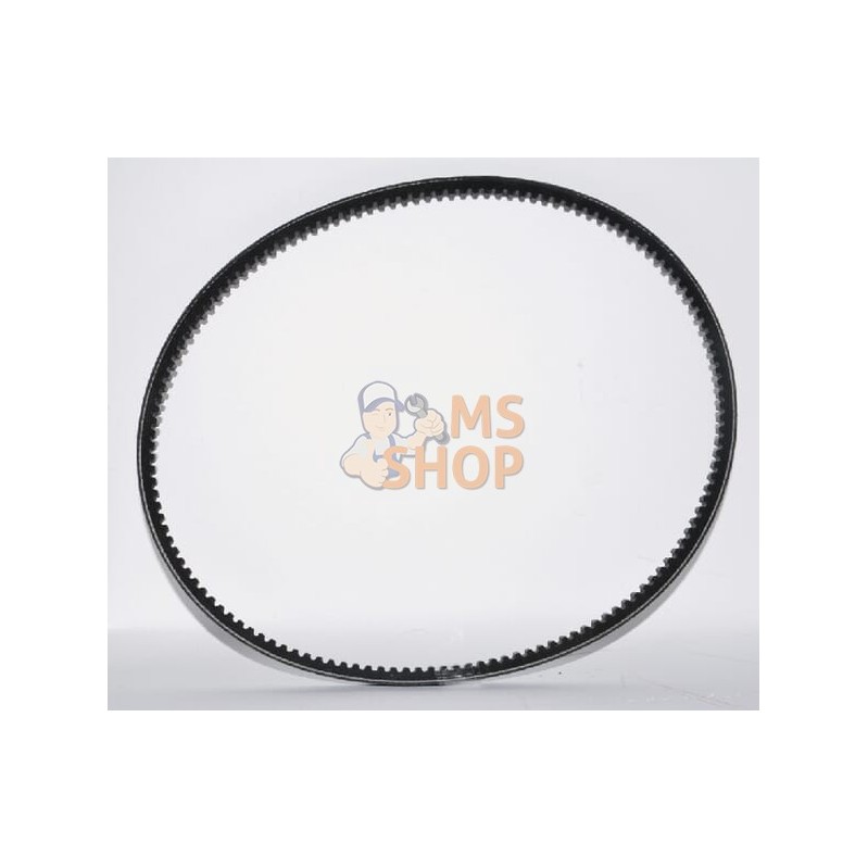 Courroie Trapez Spa907 | OUTILS WOLF Courroie Trapez Spa907 | OUTILS WOLFPR#695970 Courroie Trapez Spa907 | OUTILS WOLF Courroie Trapez Spa907 | OUTILS WOLFPR#695970