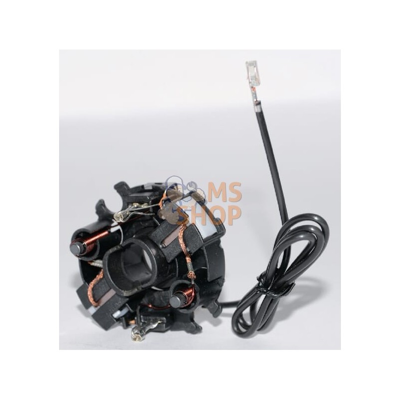 Lot de charbons | OUTILS WOLF Lot de charbons | OUTILS WOLFPR#3226
