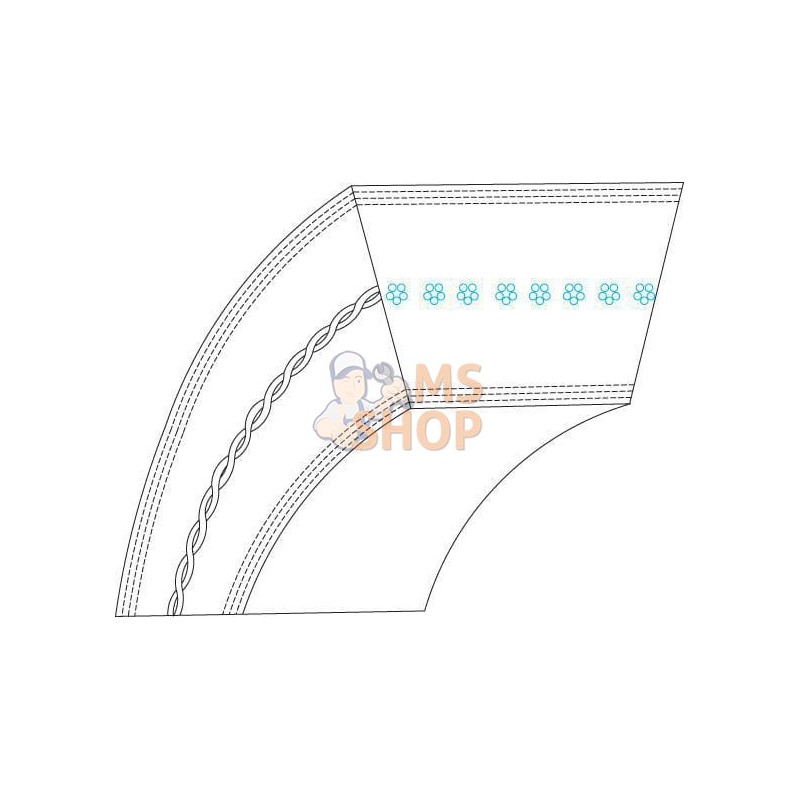 Courroie 10X5779Li | OUTILS WOLF Courroie 10X5779Li | OUTILS WOLFPR#3765