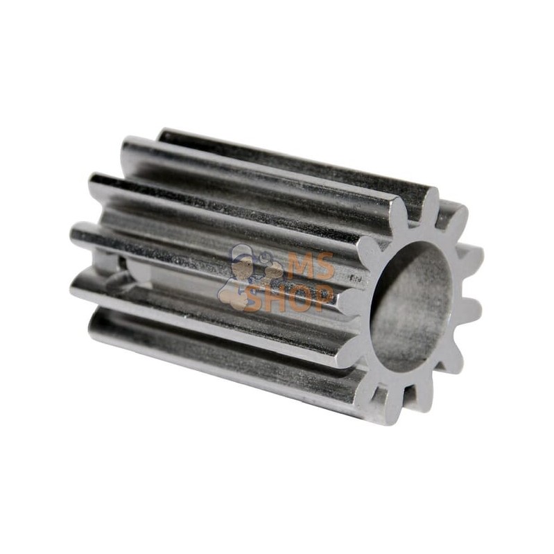 Pignon Creux | OUTILS WOLF Pignon Creux | OUTILS WOLFPR#695960