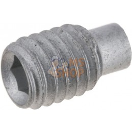 Boulon fileté M6x10 Zn DIN915 | LEMKEN Boulon fileté M6x10 Zn DIN915 | LEMKENPR#1120978