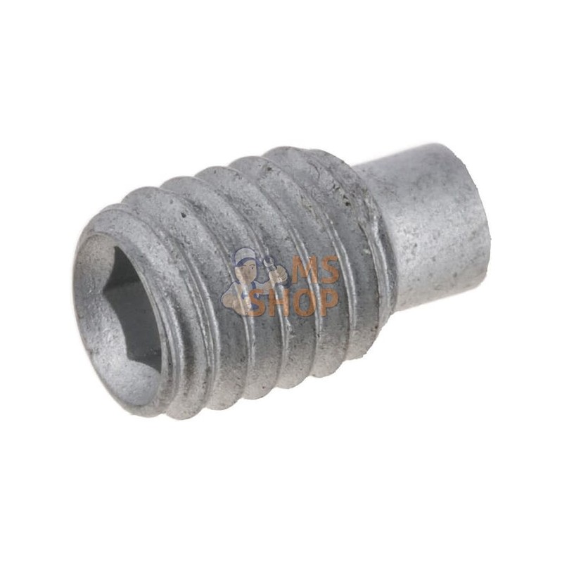 Boulon fileté M6x10 Zn DIN915 | LEMKEN Boulon fileté M6x10 Zn DIN915 | LEMKENPR#1120978