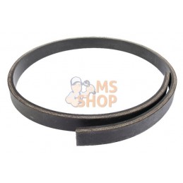 Élastique 30x10x1610 | LEMKEN Élastique 30x10x1610 | LEMKENPR#1121004
