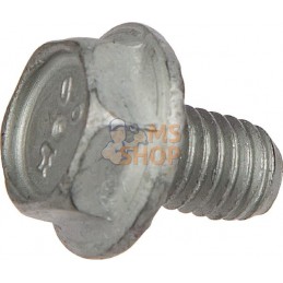 Vis de sécurité M8x12 90 zinc | LEMKEN Vis de sécurité M8x12 90 zinc | LEMKENPR#1121093