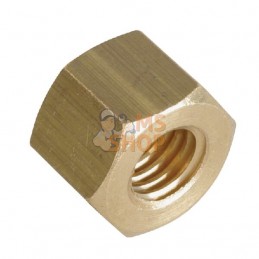 Ecrou en laiton pour vis du collecteur | DEUTZ Ecrou en laiton pour vis du collecteur | DEUTZPR#1121296