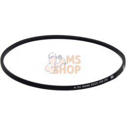 Courroie trapézoïdale (Z-31 1/2) | HONDA Courroie trapézoïdale (Z-31 1/2) | HONDAPR#1121398