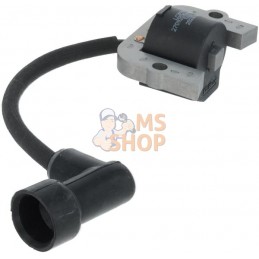 Bobine d’allumage | LONCIN Bobine d’allumage | LONCINPR#1121847