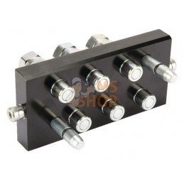 Raccord multiple DN10-6 x 1/2" BSP prise amovible | FASTER Raccord multiple DN10-6 x 1/2" BSP prise amovible | FASTERPR#825107