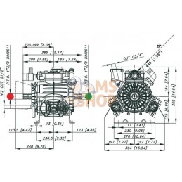 Pompe PBO 1100.1 VD | BERTOLINI Pompe PBO 1100.1 VD | BERTOLINIPR#723941