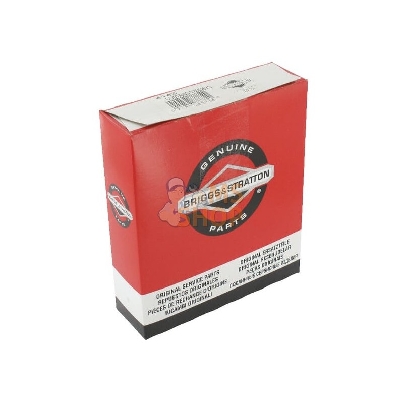 Pré-filtres à air 5x 805267S | BRIGGS & STRATTON Pré-filtres à air 5x 805267S | BRIGGS & STRATTONPR#25068 Pré-filtres à air 5x 805267S | BRIGGS & STRATTON Pré-filtres à air 5x 805267S | BRIGGS & STRATTONPR#25068