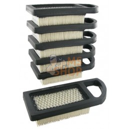 Filtre à air 6 x 797007 | BRIGGS & STRATTON Filtre à air 6 x 797007 | BRIGGS & STRATTONPR#25108