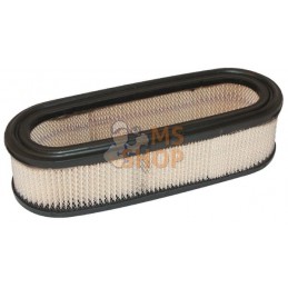 Filtre à air (VF272490S)(4136) | BRIGGS & STRATTON Filtre à air (VF272490S)(4136) | BRIGGS & STRATTONPR#24999