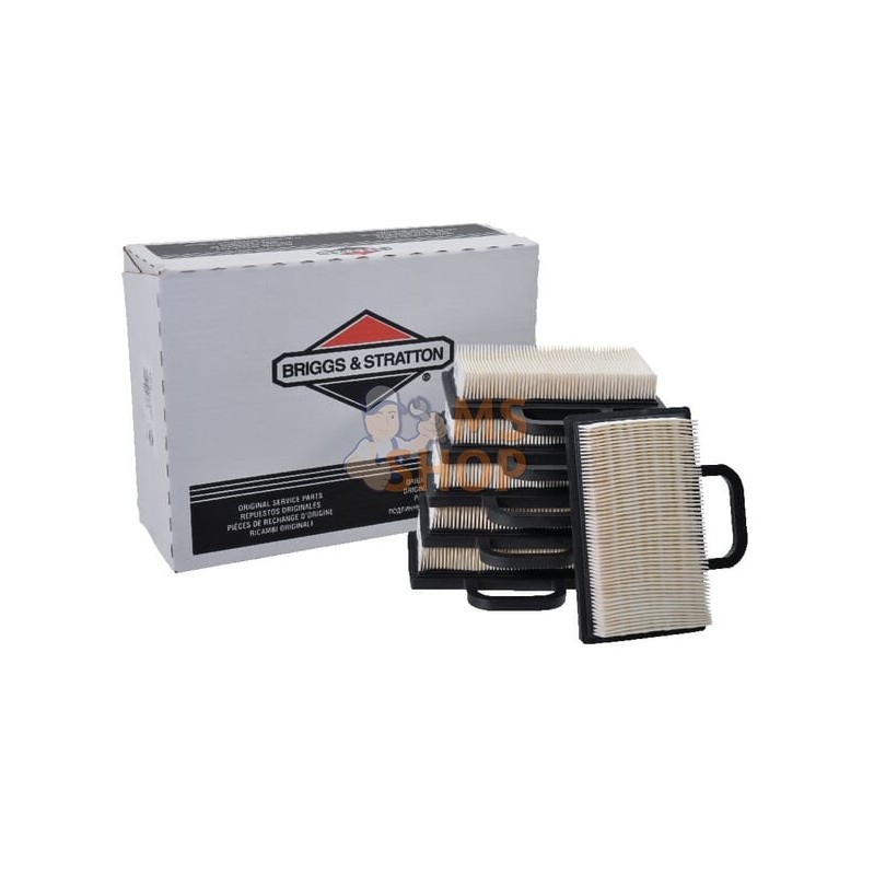 Filtre à air 6 x 499486S | BRIGGS & STRATTON Filtre à air 6 x 499486S | BRIGGS & STRATTONPR#25113 Filtre à air 6 x 499486S | BRIGGS & STRATTON Filtre à air 6 x 499486S | BRIGGS & STRATTONPR#25113