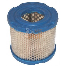 Filtre à air (4106) | BRIGGS & STRATTON Filtre à air (4106) | BRIGGS & STRATTONPR#24997