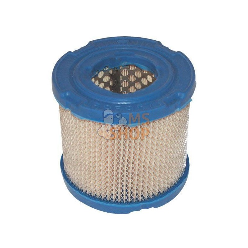 Filtre à air (4106) | BRIGGS & STRATTON Filtre à air (4106) | BRIGGS & STRATTONPR#24997