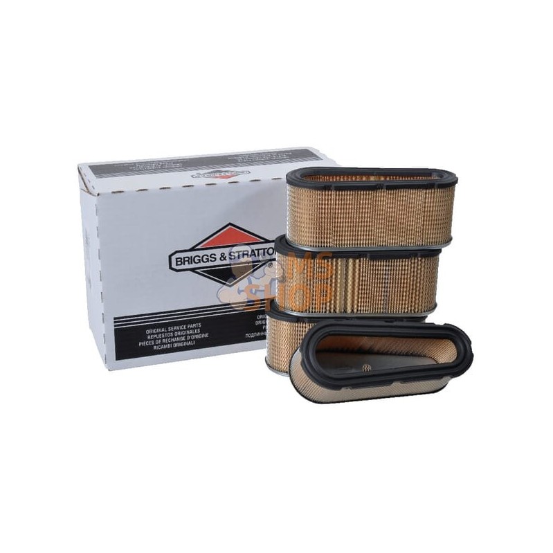 Filtre à air 4 x 496894S | BRIGGS & STRATTON Filtre à air 4 x 496894S | BRIGGS & STRATTONPR#25064 Filtre à air 4 x 496894S | BRIGGS & STRATTON Filtre à air 4 x 496894S | BRIGGS & STRATTONPR#25064