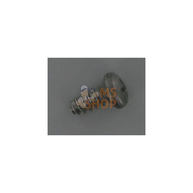 Vis Tole Bz 42X95 | OUTILS WOLF Vis Tole Bz 42X95 | OUTILS WOLFPR#695893