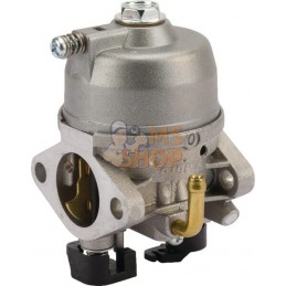 Carburateur Ds54 | OUTILS WOLF Carburateur Ds54 | OUTILS WOLFPR#696008