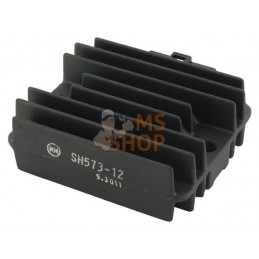 Regulateur de tension | OUTILS WOLF Regulateur de tension | OUTILS WOLFPR#695929