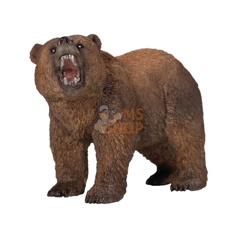 Ours Grizzly | SCHLEICH Ours Grizzly | SCHLEICHPR#863925