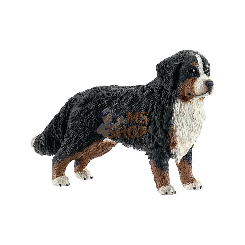 Bouvier bernois femelle | SCHLEICH Bouvier bernois femelle | SCHLEICHPR#863946