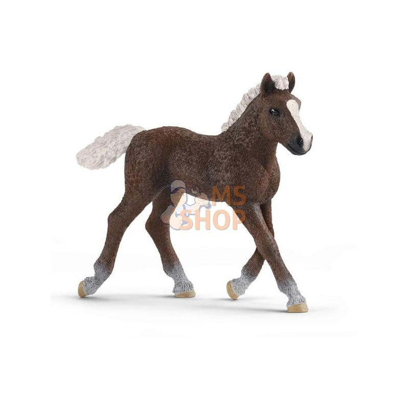 Poulain Forêt-Noire | SCHLEICH Poulain Forêt-Noire | SCHLEICHPR#863913