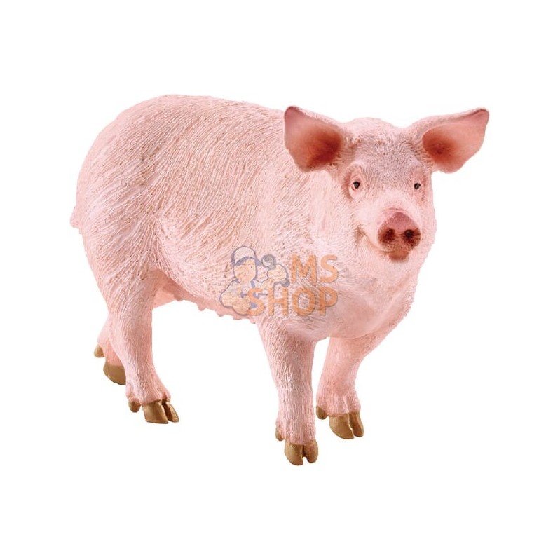 Cochon | SCHLEICH Cochon | SCHLEICHPR#863867