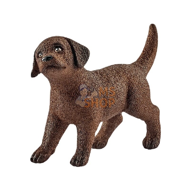 Chiot Labrador Retriever | SCHLEICH Chiot Labrador Retriever | SCHLEICHPR#863905