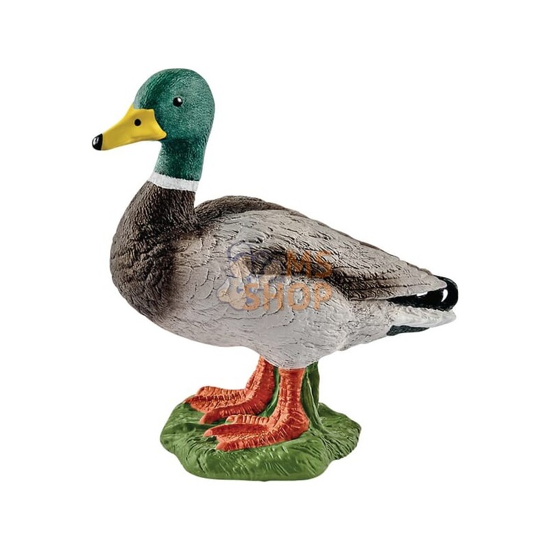 Canard | SCHLEICH Canard | SCHLEICHPR#863894