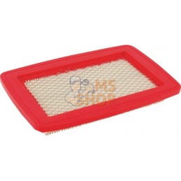 Filtre papier | GGP Filtre papier | GGPPR#787416