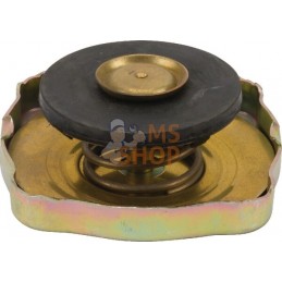 Bouchon de radiateur | CNH Bouchon de radiateur | CNHPR#894129